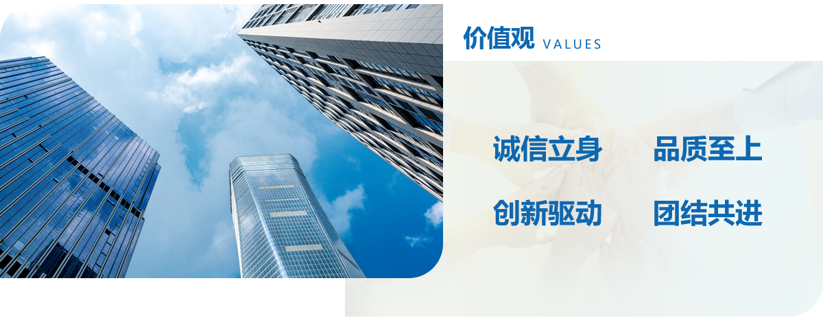 4166 - 全球赢家的信心之选