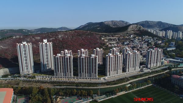 4166 - 全球赢家的信心之选