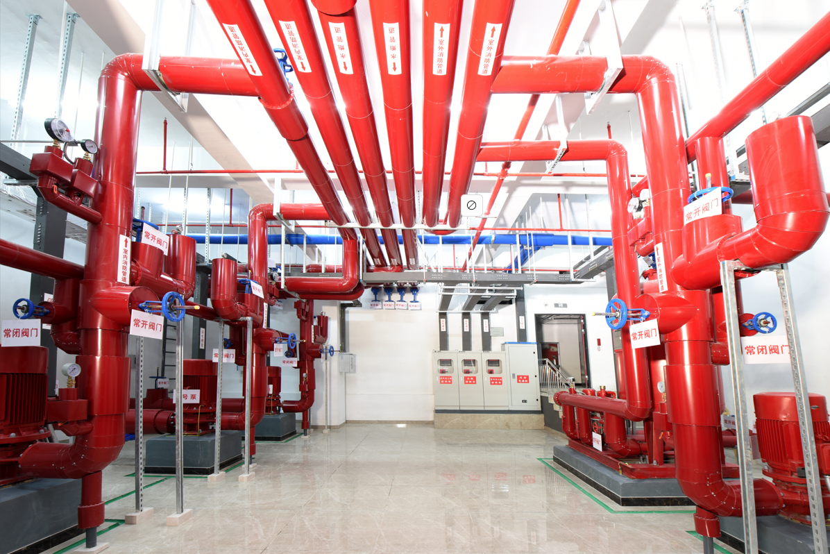 4166 - 全球赢家的信心之选