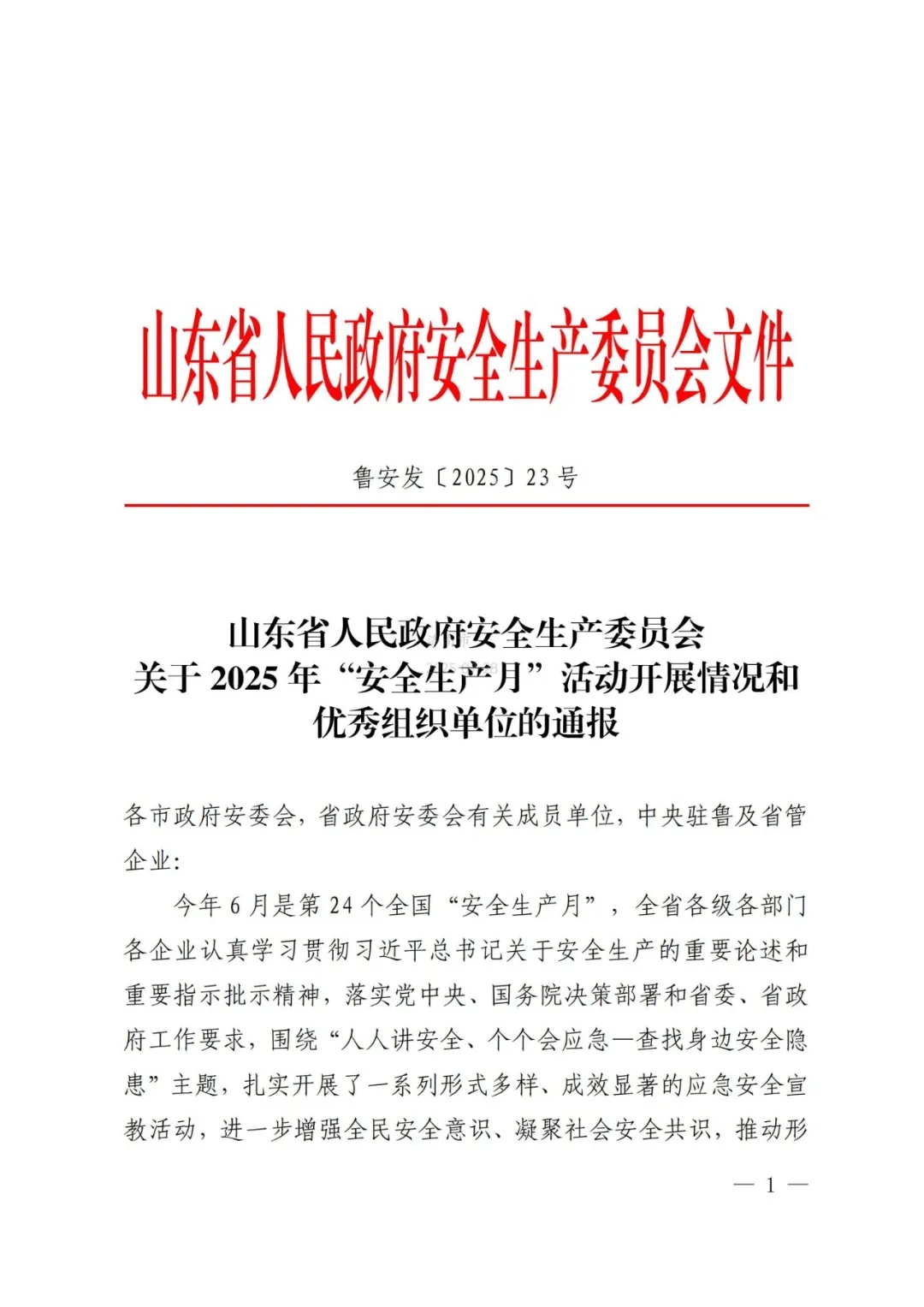 4166 - 全球赢家的信心之选
